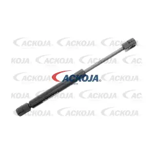 A32-0133 ACKOJA