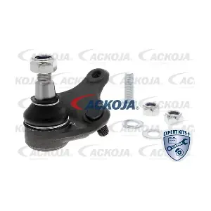 A70-1219 ACKOJA
