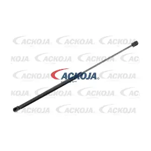 A37-0017 ACKOJA