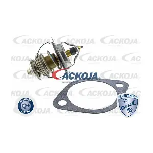A52-99-0025 ACKOJA