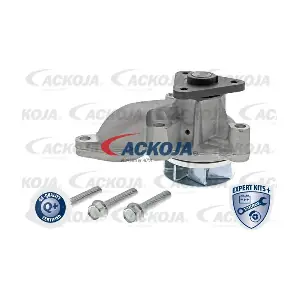 A52-0704 ACKOJA