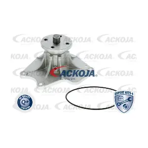 A37-50002 ACKOJA