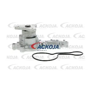 A26-50008 ACKOJA