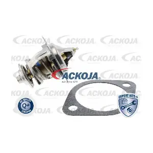 A53-99-0010 ACKOJA