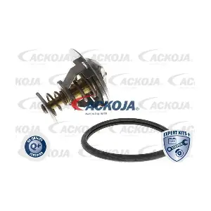 A52-99-0005 ACKOJA