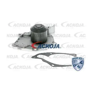 A38-50006 ACKOJA