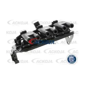 A52-70-0041 ACKOJA
