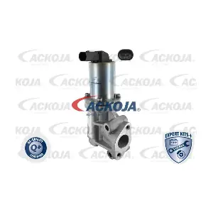 A52-63-0006 ACKOJA