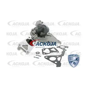 A37-50003 ACKOJA