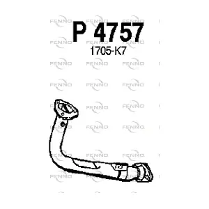 P4757 FENNO