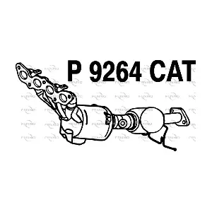 P9264CAT FENNO