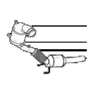 (P8166CAT) FENNO