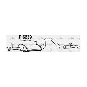 P6239 FENNO