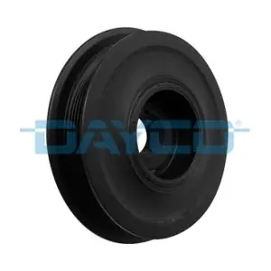 DPV1076 DAYCO