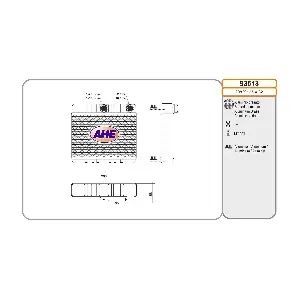 93513 AHE