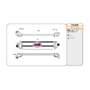 710.029 AHE