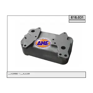 818.031 AHE