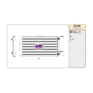 123.081 AHE