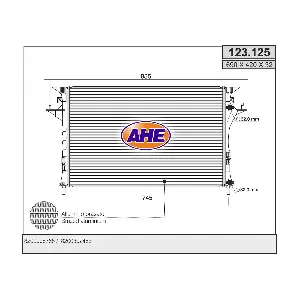 123125 AHE