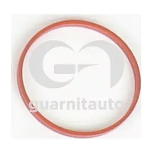 183686-8200 GUARNITAUTO