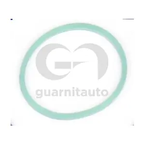 184765-8300 GUARNITAUTO
