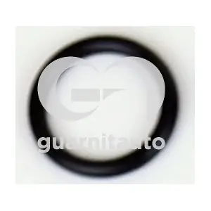 183688-8000 GUARNITAUTO