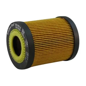 CE 1077 E SAMPIYON FILTER