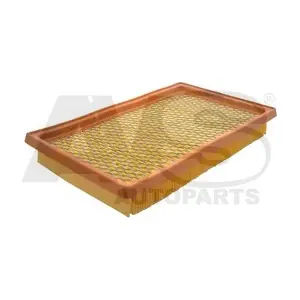 P249 AVS AUTOPARTS