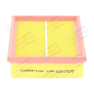 CAF100703P CHAMPION