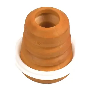 R59965 RAPRO