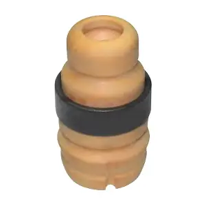 R51063 RAPRO