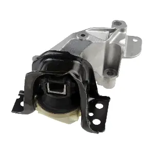 R51077 RAPRO
