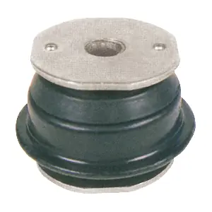 R55196 RAPRO