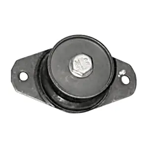 R51098 RAPRO