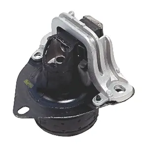 R55205 RAPRO