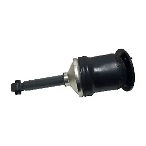 62003 Automotive RYME