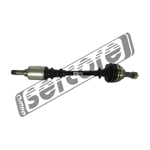 22446 SERCORE