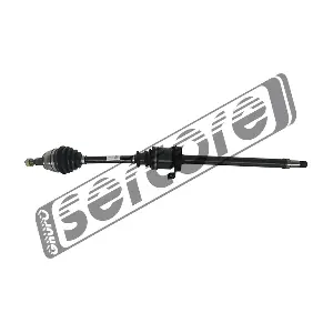 221665 SERCORE