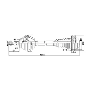 DDS261123 DYNAMATRIX
