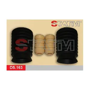 DS.163 STATIM
