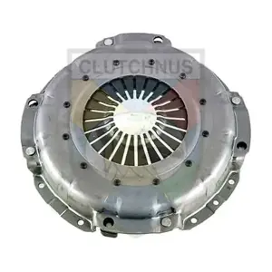 SCPS31 CLUTCHNUS