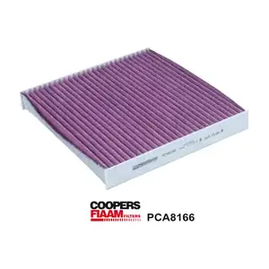 PCA8166 CoopersFiaam