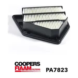 PA7823 CoopersFiaam