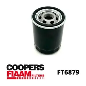 FT6879 CoopersFiaam