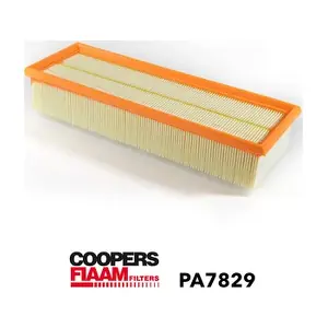 PA7829 CoopersFiaam