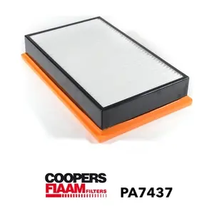 PA7437 CoopersFiaam