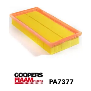 PA7377 CoopersFiaam