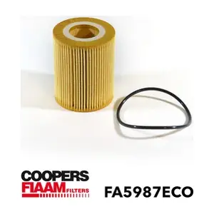 FA5987ECO CoopersFiaam
