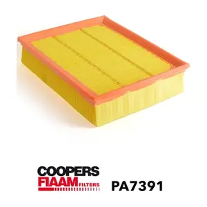 PA7391 CoopersFiaam