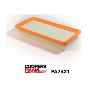 PA7421 CoopersFiaam